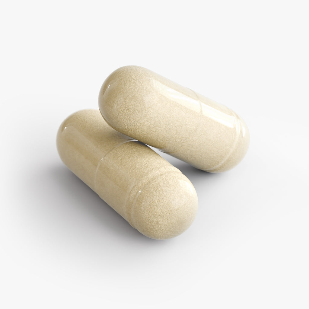 Gut Health